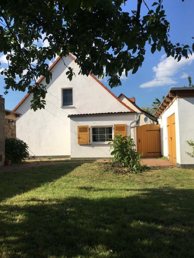 Ferienidyll-Reitwein Villa Exterior foto